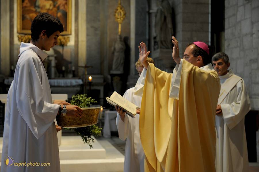 Nom de l'image : D30099618_1_(c)Norbert-JUNG — Description :